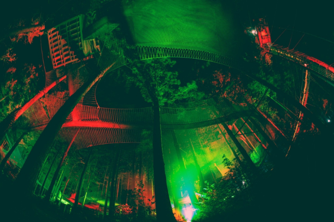 Dynamize Productions Limited photo 16